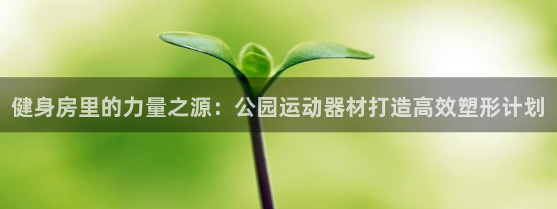 fb体育代理：健身房里的力量之源：公园运动器材打造高