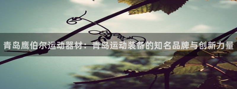 fb体育集团官网首页：青岛鹰伯尔运动器材：青岛运动装
