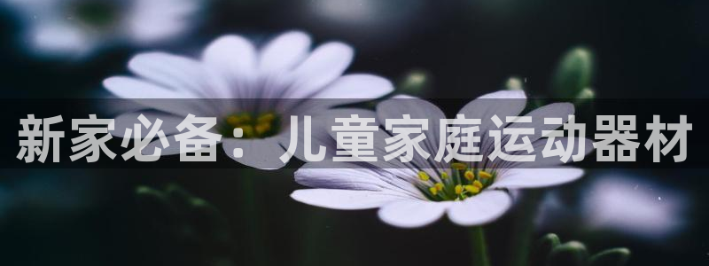 fb体育平台注册流程视频：新家必备：儿童家庭运动器材