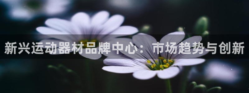 fb体育科技：新兴运动器材品牌中心：市场趋势与创新