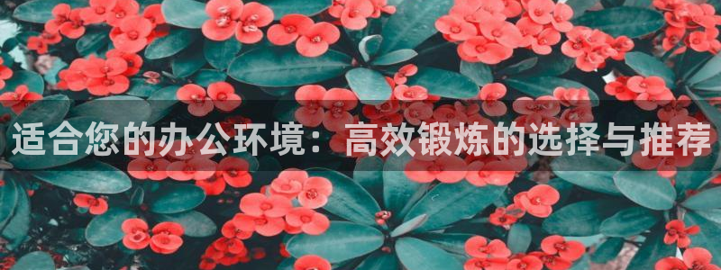 fb体育平台注册流程图：适合您的办公环境：高效锻炼的选择与推
