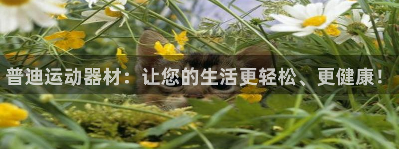 fb体育娱乐代理怎么样