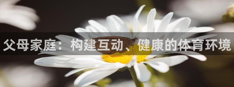fb体育集团官网首页：父母家庭：构建互动、健康的体育环境