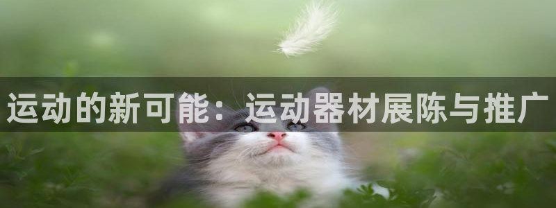 德国fb体育集团