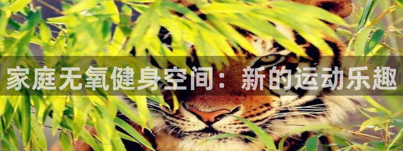 海南fb体育：家庭无氧健身空间：新的运动乐趣